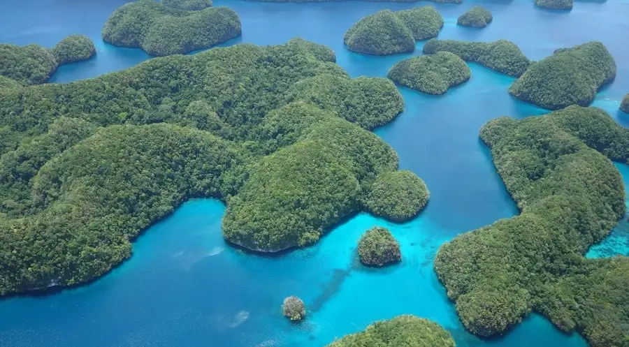 ¡Revuelta financiera en Palau! El primer país en lanzar su propia criptomoneda respaldada por Ripple | FXMAG