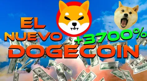 Shiba Inu de poco fíar SHIB ¡Aquí la cosa no está clara! Dogecoin y sus bajadas DOGE El interés por Cardano no deja de crecer ADA | FXMAG