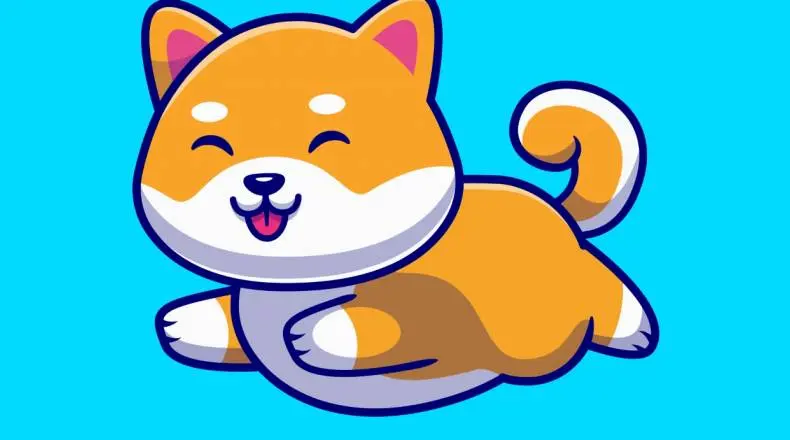 Shiba Inu (SHIB) Creates Double Bottom Pattern After Bounce From May Lows | BeInCrypto| FXMAG.COM