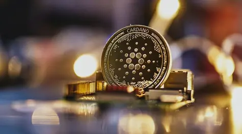 ¡Solana y Cardano se debilitan frente al dólar (SOLUSD, ADAUSD)! La situación de Algorand (ALGOUSD) no se presenta mucho mejor | FXMAG