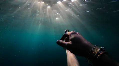 ¡Solana ya se encuentra por debajo del mínimo de ayer (SOLUSD)! Polkadot también ha perdido energía (DOTUSD), pero Litecoin no se rinde (LTCUSD) | FXMAG