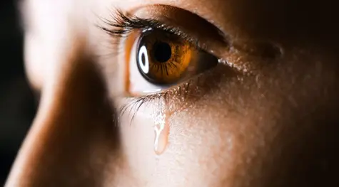 Tiempos difíciles para el euro. ¡La tasa del euro a la libra esterlina todavía está baja! El euro frente al dólar estadounidense y el franco suizo también están en problemas. | FXMAG