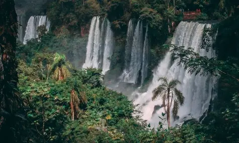 ¿Tienes Pesos Argentinos? ¡Aprovecha la ocasión y compra el Euro! El Dólar Peso Mexicano y Euro Real Brasileño estancados en la cima | FXMAG