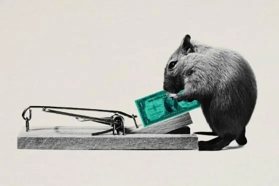 ¡Un frenazo! ¡Cardano hoy TRIUNFA! ADA Tether recoge lo sembrado USDT ¡Los inversores de Solana empiezan a respirar hondo! SOL | FXMAG