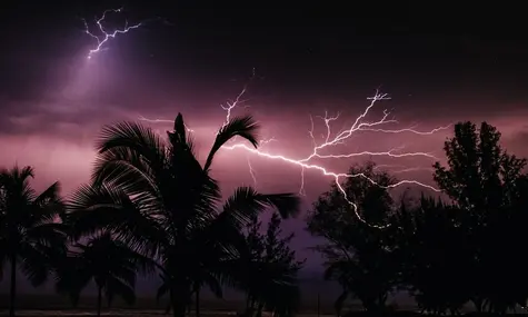 ¡Una apertura sin beneficios para el Ibex 35! México alza el FTSE BIVA con una subida del 0.76%. La bolsa ecuatoriana, junto a Guayaquil, vuelve a buscar niveles bajos | FXMAG