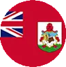 Icon of dólar bermudeño