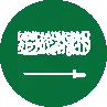 Icon of riyal saudí