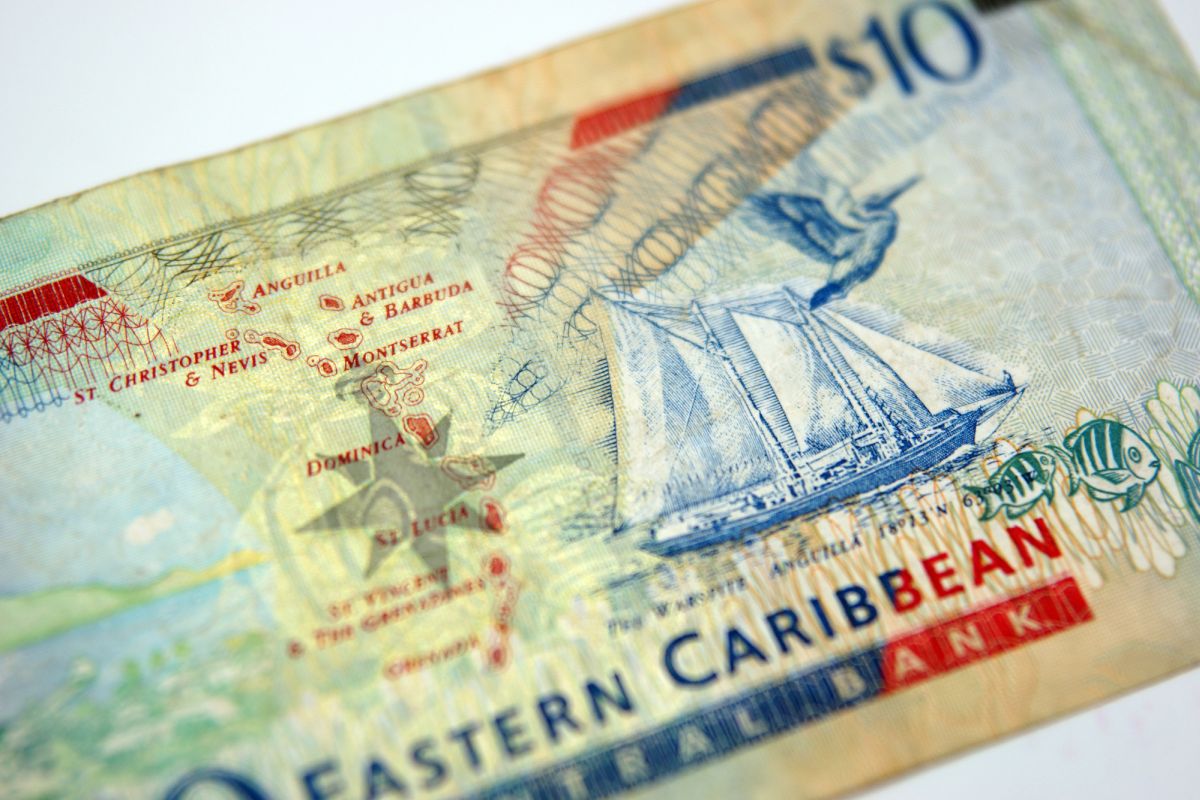 Dólar del Caribe Oriental (XCD): una de las monedas oficiales de América del Sur (mercado Forex)