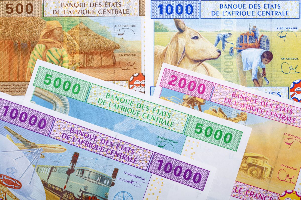 El franco CFA de África Central: ¿Dónde se utiliza el franco CFA? Descubrimos más sobre el dinero africano